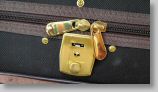 genis violin case 3.jpg